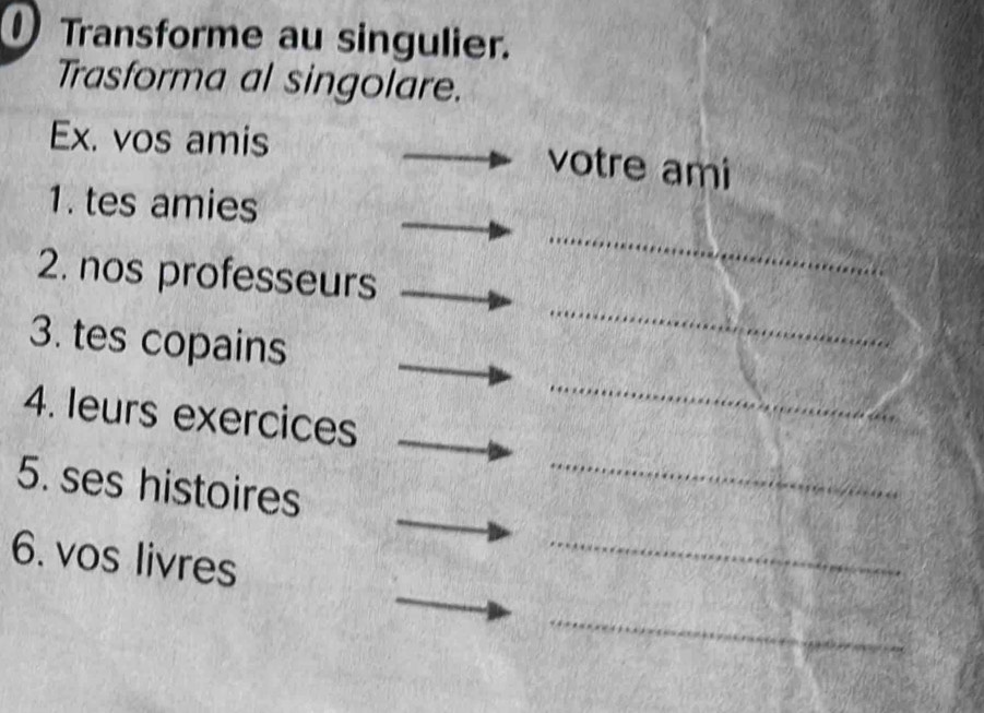 Transforme au singulier. 
Trasforma al singolare. 
Ex. vos amis votre ami 
_ 
1. tes amies 
2. nos professeurs 
3. tes copains 
_ 
4. leurs exercices 
_ 
5. ses histoires 
_ 
6. vos livres 
_ 
_