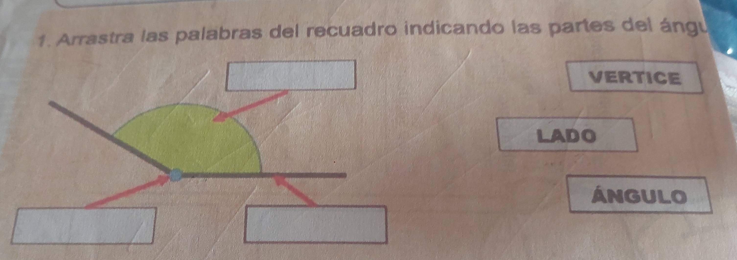 Arrastra las palabras del recuadro indicando las partes del ángu 
VERTICE 
LADO 
ÁNGULO