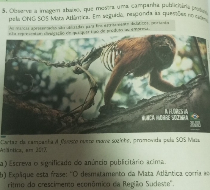 Observe a imagem abaixo, que mostra uma campanha publicitária produao 
pela ONG SOS Mata Atlântica. Em seguida, responda às questões no cadem 
As marcas apresentadas são utilizadas para fins estritamente didáticos, portanto 
não representam divulgação de qualquer tipo de produto ou empresa. 
Cartaz da campanha A floresta nunca morre sozinha, promovida pela SOS Mata 
Atlântica, em 2017. 
a) Escreva o significado do anúncio publicitário acima. 
b) Explique esta frase: "O desmatamento da Mata Atlântica corria ao 
ritmo do crescimento econômico da Região Sudeste''.