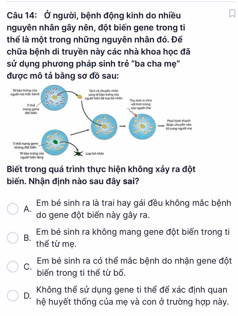 Ở người, bệnh động kinh do nhiều
nguyên nhân gây nên, đột biến gene trong ti
thể là một trong những nguyên nhân đó. Để
chữa bệnh di truyền này các nhà khoa học đã
sử dụng phương pháp sinh trẻ “ba cha mẹ”
được mô tả bằng sơ đồ sau:
Biết trong quá trình thực hiện không xảy ra đột
biến. Nhận định nào sau đây sai?
Em bé sinh ra là trai hay gái đều không mắc bệnh
A.
do gene đột biến này gây ra.
Em bé sinh ra không mang gene đột biến trong ti
B.
thể từ mẹ.
Em bé sinh ra có thể mắc bệnh do nhận gene đột
C.
biến trong ti thể từ bố.
Không thể sử dụng gene ti thể để xác định quan
D.
hệ huyết thống của mẹ và con ở trường hợp này.