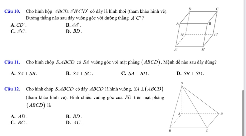 Cho hình hộp 4BCL ) A'B'C'D' có đáy là hình thoi (tham khảo hình vẽ).
Đường thắng nào sau đây vuông góc với đường thắng A'C' ?
A. CD'. B. AA'.
C. A'C. D. BD .
Câu 11. Cho hình chóp S.ABCD có SA vuông góc với mặt phẳng (ABCD). Mệnh đề nào sau đây đúng?
A. SA⊥ SB. B. SA⊥ SC. C. SA⊥ BD. D. SB⊥ SD.
Câu 12. Cho hình chóp S.ABCD có đáy ABCD là hình vuông, SA⊥ (ABCD)
(tham khảo hình vẽ). Hình chiếu vuông góc của SD trên mặt phẳng
(ABCD) là
A. AD . B. BD .
C. BC . D. AC .