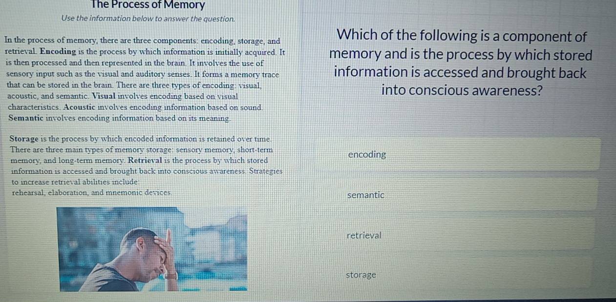 The Process of Memory
Use the information below to answer the question.
In the process of memory, there are three components: encoding, storage, and
Which of the following is a component of
retrieval. Encoding is the process by which information is initially acquired. It memory and is the process by which stored
is then processed and then represented in the brain. It involves the use of
sensory input such as the visual and auditory senses. It forms a memory trace
information is accessed and brought back
that can be stored in the brain. There are three types of encoding: visual, into conscious awareness?
acoustic, and semantic. Visual involves encoding based on visual
characteristics. Acoustic involves encoding information based on sound
Semantic involves encoding information based on its meaning.
Storage is the process by which encoded information is retained over time.
There are three main types of memory storage: sensory memory, short-term encoding
memory, and long-term memory. Retrieval is the process by which stored
information is accessed and brought back into conscious awareness. Strategies
to increase retrieval abilities include
rehearsal, elaboration, and mnemonic devices semantic
retrieval
storage