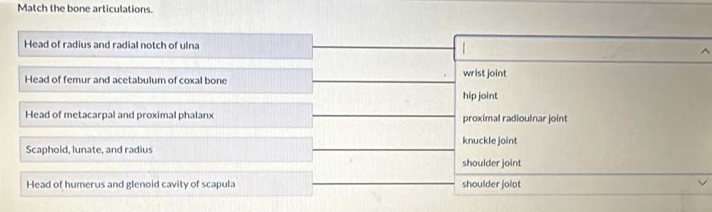 Match the bone articulations.
Head of radius and radial notch of ulna
wrist joint
Head of femur and acetabulum of coxal bone
hip joint
Head of metacarpal and proximal phalanx proximal radioulnar joint
knuckle joint
Scaphoid, lunate, and radius
shoulder joint
Head of humerus and glenoid cavity of scapula shoulder joint