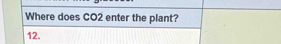 Where does CO2 enter the plant? 
12.