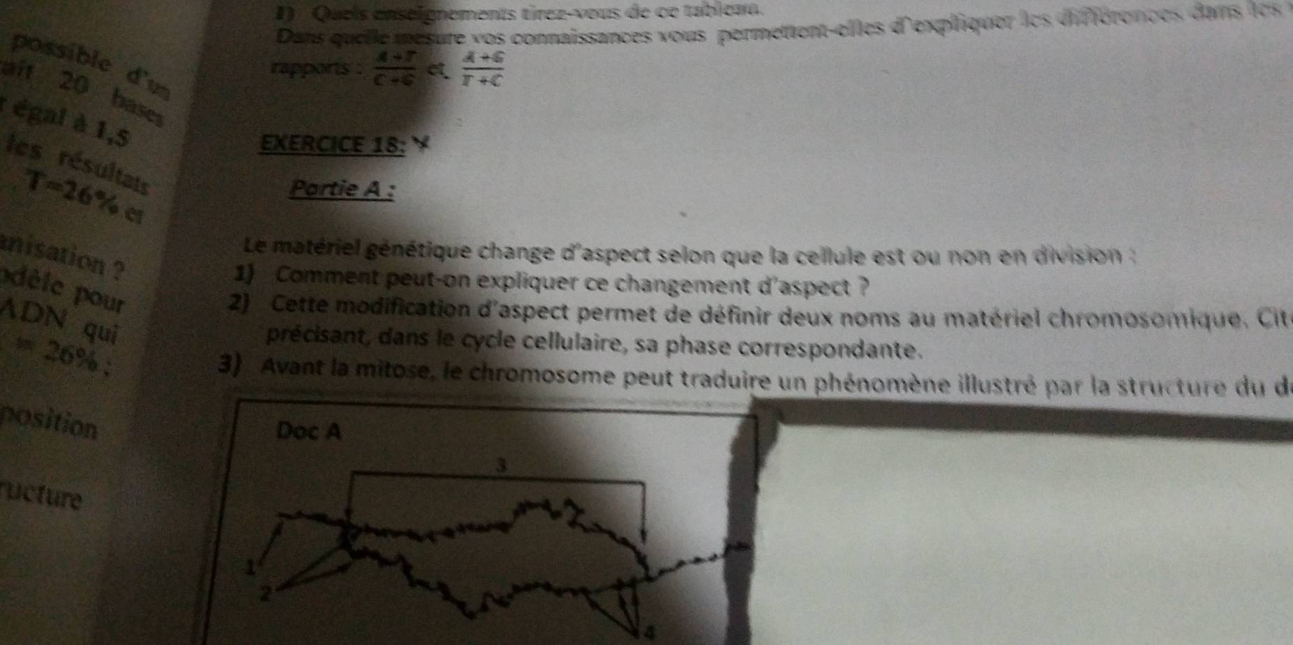 Quels enseignements tírez-vous de ce tabica. 
Dans quele mésure vos connaissances vous permettent-elles d'expliquer les différonces dans les 
possible d'u 
rapports .  (A+5)/C+G  e  (A+G)/T+C 
aft 20 base 
: égal à 1,5
EXERCICE 18: A. 
les résultats 
Partie A :
T=26% e 
Le matériel génétique change d'aspect selon que la cellule est ou non en division : 
nisation ? 
1) Comment peut-on expliquer ce changement d'aspect ? 
pdèle pour 
2) Cette modification d'aspect permet de définir deux noms au matériel chromosomique. Cit 
ADN quī
=26%
précisant, dans le cycle cellulaire, sa phase correspondante. 
3) Avant la mitose, le chromosome peut traduire un phénomène illustré par la structure du du 
position 
Doc A 
3 
ucture 
1 
2 
4