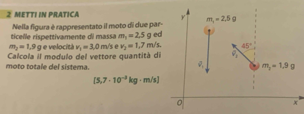 METTI IN PRATICA
Nella figura è rappresentato il moto di due par-
ticelle rispettivamente di massa m_1=2,5g ed
m_2=1,9g e velocità v_1=3,0m/s e v_2=1,7m/s.
Calcola il modulo del vettore quantità di
moto totale del sistema.
[5,7· 10^(-3)kg· m/s]