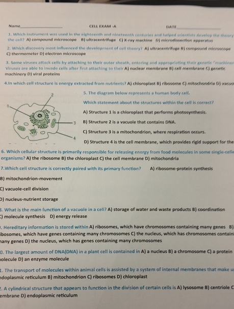 Name_ CELL EXAM - A DATE_
1. Which instrument was used in the eighteenth and nineteenth centuries and helped scientists develog the theory
the cell? A) compound microscope B) ultracentrifuge C) X-ray machine D) microdissection apparatus
2. Which discovery most influenced the development of cell theory? A) ultracentrifuge B) compound misrresnge
C) thermometer D) electron microscope
3. Some viruses attack cells by attaching to their outer sheath, entering and appropriating their genetic "markine
Viruses are able to invade cells after first attaching to their A) nuclear membrane B) cell membrane C) genetic
machinery D) viral proteins
4.In which cell structure is energy extracted from nutrients? A) chloroplast B) ribosome C) mitochondria D) vacuo
5. The diagram below represents a human body cell.
Which statement about the structures within the cell is correct?
A) Structure 1 is a chloroplast that performs photosynthesis.
) Structure 2 is a vacuole that contains DNA.
C) Structure 3 is a mitochondrion, where respiration occurs.
D) Structure 4 is the cell membrane, which provides rigid support for the
6. Which cellular structure is primarily responsible for releasing energy from food molecules in some single-cell
organisms? A) the ribosome B) the chloroplast C) the cell membrane D) mitochondria
7.Which cell structure is correctly paired with its primary function? A) ribosome-protein synthesis
B) mitochondrion-movement
C) vacuole-cell division
D) nucleus-nutrient storage
3. What is the main function of a vacuole in a cell? A) storage of water and waste products B) coordination
C) molecule synthesis D) energy release
. Hereditary information is stored within A) ribosomes, which have chromosomes containing many genes B)
ibosomes, which have genes containing many chromosomes C) the nucleus, which has chromosomes contain
many genes D) the nucleus, which has genes containing many chromosomes
0. The largest amount of DNA(DNA) in a plant cell is contained in A) a nucleus B) a chromosome C) a protein
olecule D) an enzyme molecule
L. The transport of molecules within animal cells is assisted by a system of internal membranes that make u
indoplasmic reticulum B) mitochondrion C) ribosomes D) chloroplast
2. A cylindrical structure that appears to function in the division of certain cells is A) lysosome B) centriole C
embrane D) endoplasmic reticulum