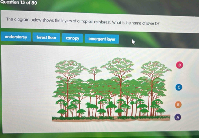 Solved: The diagram below shows the layers of a tropical rainforest ...