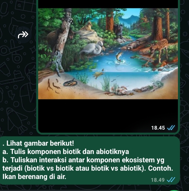 e:4 45 
. Lihat gambar berikut! 
a. Tulis komponen biotik dan abiotiknya 
b. Tuliskan interaksi antar komponen ekosistem yg 
terjadi (biotik vs biotik atau biotik vs abiotik). Contoh. 
Ikan berenang di air. 18.49