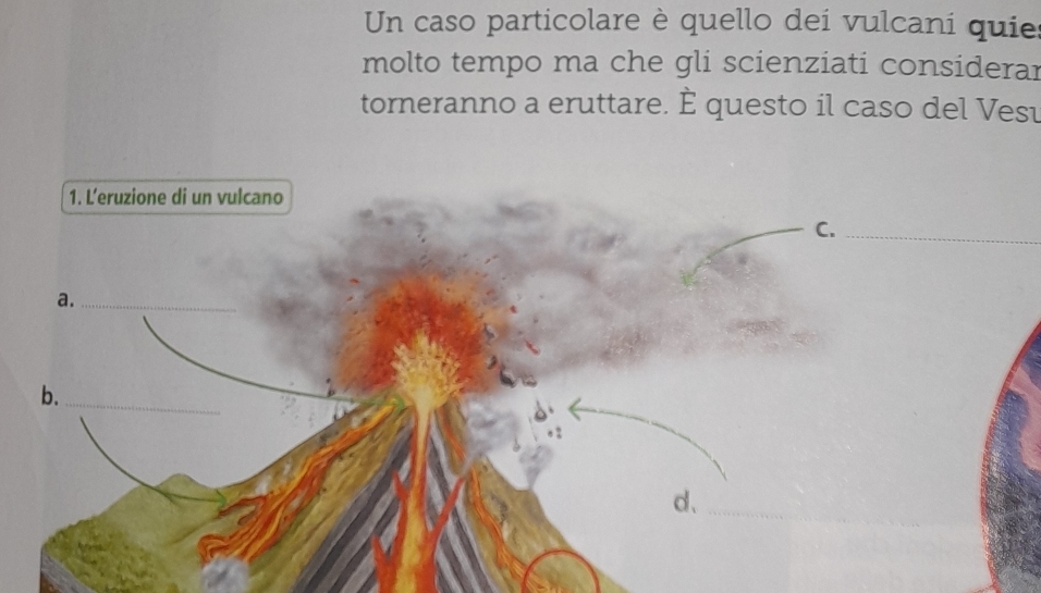 Un caso particolare è quello dei vulcani quie 
molto tempo ma che gli scienziati considerar 
torneranno a eruttare. È questo il caso del Vesu 
1. L’eruzione di un vulcano 
C._ 
a._ 
b._ 
_ 
d、_