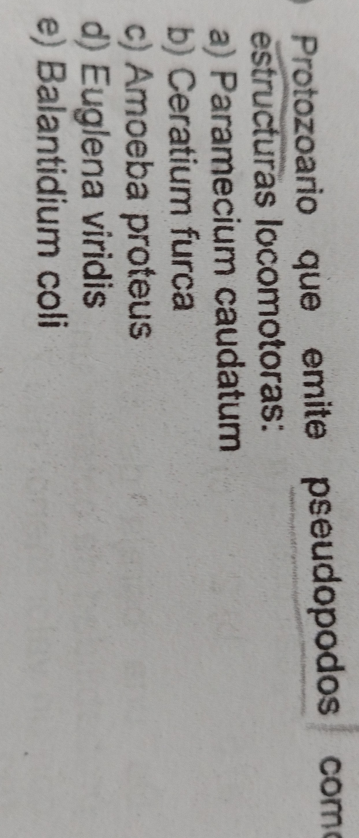 Protozoario que emite pseudopodos como
estructuras locomotoras:
a) Paramecium caudatum
b) Ceratium furca
c) Amoeba proteus
d) Euglena viridis
e) Balantidium coli