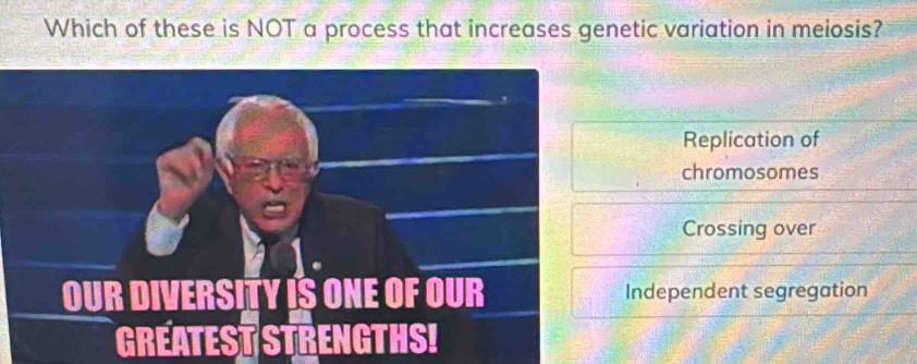 Which of these is NOT a process that increases genetic variation in meiosis?
Replication of
chromosomes
Crossing over
Independent segregation
GREATEST STRENGTHS!