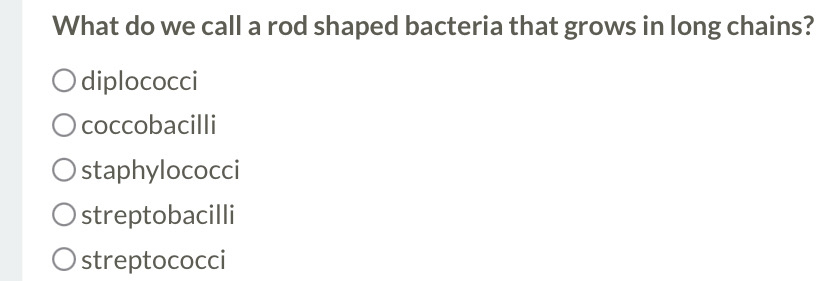 What do we call a rod shaped bacteria that grows in long chains?
diplococci
coccobacilli
staphylococci
streptobacilli
streptococci