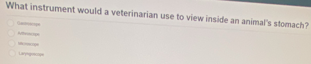 What instrument would a veterinarian use to view inside an animal's stomach?
Gastroscope
Arthroscope
Microscope
Laryngoscope
