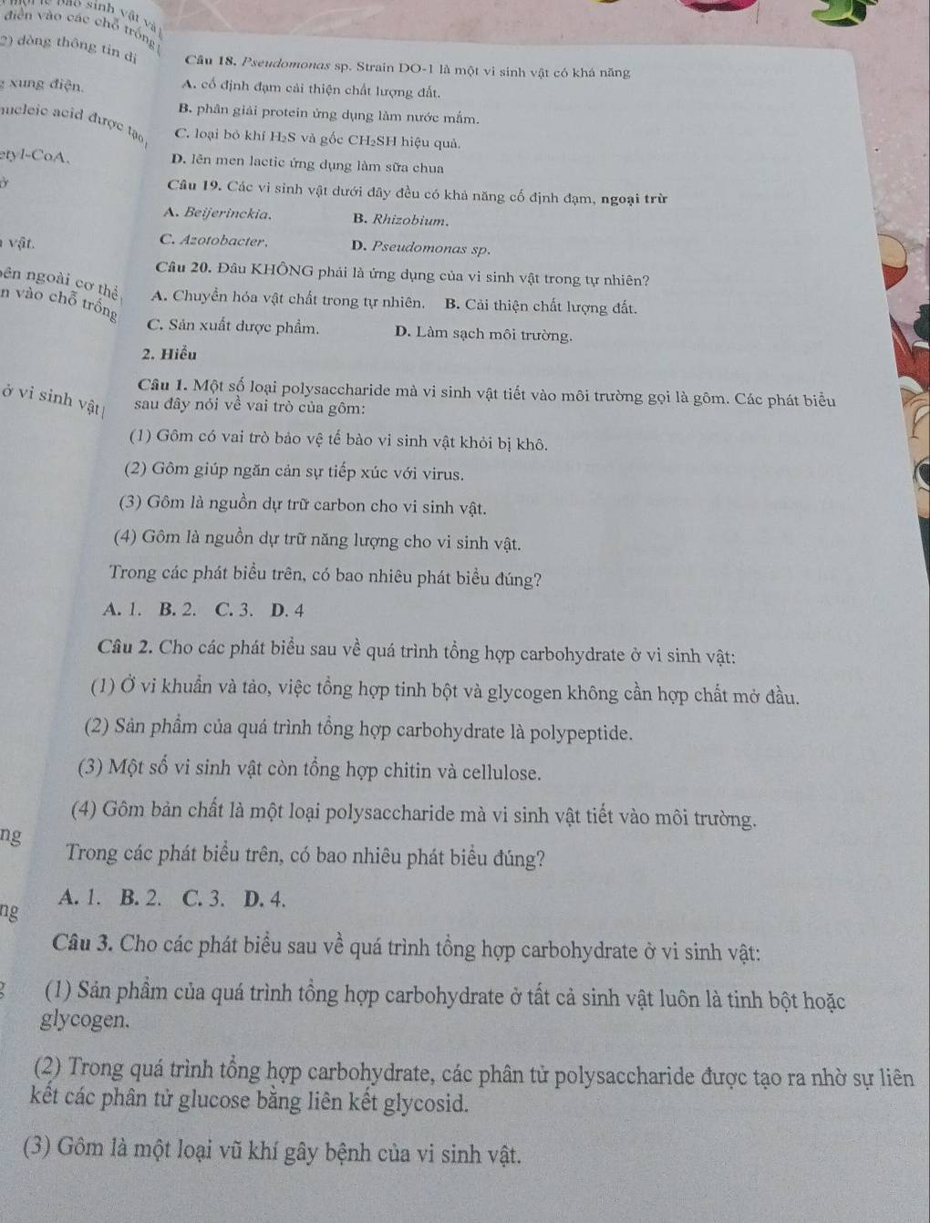 oao sinh vật và
diễn vào các chỗ trống
2) dòng thông tin dị Cầu 18. Pseudomonas sp. Strain DO-1 là một vi sinh vật có khá năng
g xung điện. A. cổ định đạm cải thiện chất lượng đất.
B. phân giải protein ứng dụng làm nước mắm.
aucleic acid được tậ C. loại bỏ khí H₂S và gốc CH₂SH hiệu quả.
etyl-CoA. D. lên men lactic ứng dụng làm sữa chua
Y
Câu 19. Các vi sinh vật dưới đây đều có khả năng cố định đạm, ngoại trừ
A. Beijerinckia. B. Rhizobium.
vật. C. Azotobacter. D. Pseudomonas sp.
Câu 20. Đâu KHÔNG phải là ứng dụng của vi sinh vật trong tự nhiên?
ên ngoài cơ thể A. Chuyển hóa vật chất trong tự nhiên. B. Cải thiện chất lượng đất.
n vào chỗ trồng
C. Sản xuất được phẩm. D. Làm sạch môi trường.
2. Hiểu
Câu 1. Một số loại polysaccharide mà vi sinh vật tiết vào môi trường gọi là gôm. Các phát biểu
ở vi sinh vật sau đây nói về vai trò của gôm:
(1) Gôm có vai trò bảo vệ tế bào vi sinh vật khỏi bị khô.
(2) Gôm giúp ngăn cản sự tiếp xúc với virus.
(3) Gồm là nguồn dự trữ carbon cho vi sinh vật.
(4) Gôm là nguồn dự trữ năng lượng cho vi sinh vật.
Trong các phát biều trên, có bao nhiêu phát biểu đúng?
A. 1. B. 2. C. 3. D. 4
Câu 2. Cho các phát biểu sau về quá trình tổng hợp carbohydrate ở vì sinh vật:
(1) Ở vi khuẩn và tảo, việc tổng hợp tinh bột và glycogen không cần hợp chất mở đầu.
(2) Sản phẩm của quá trình tổng hợp carbohydrate là polypeptide.
(3) Một số vi sinh vật còn tổng hợp chitin và cellulose.
(4) Gôm bản chất là một loại polysaccharide mà vi sinh vật tiết vào môi trường.
ng
Trong các phát biểu trên, có bao nhiêu phát biểu đúng?
A. 1. B. 2. C. 3. D. 4.
ng
Câu 3. Cho các phát biểu sau về quá trình tổng hợp carbohydrate ở vi sinh vật:
(1) Sản phầm của quá trình tổng hợp carbohydrate ở tất cả sinh vật luôn là tinh bột hoặc
glycogen.
(2) Trong quá trình tổng hợp carbohydrate, các phân tử polysaccharide được tạo ra nhờ sự liên
kết các phân tử glucose bằng liên kết glycosid.
(3) Gôm là một loại vũ khí gây bệnh của vi sinh vật.