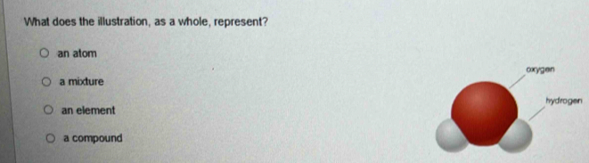 What does the illustration, as a whole, represent?
an atom
a mixture
an element
a compound