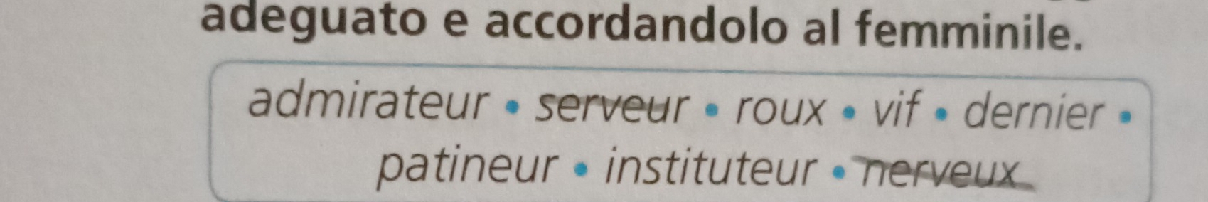 adeguato e accordandolo al femminile. 
admirateur » serveur » roux • vif » dernier » 
patineur • instituteur • nerveux