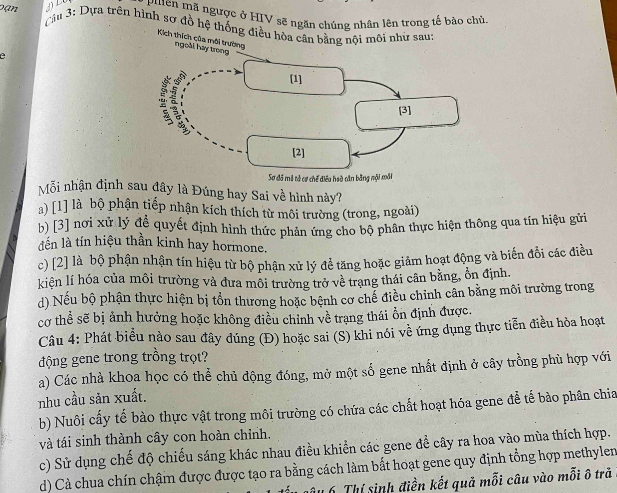 Phlên mã ngược ở HIV sẽ ngăn chúng nhân lên trong tế bào chủ.
Câu 3: Dựa trên hình sơ đồ hệ thống điều hòa cân bằng nội môi như sau:
Kích thích của môi trườ
n
e
Mỗi nhận định sau đây là Đúng hay Sai về hình này?
a) [1] là bộ phận tiếp nhận kích thích từ môi trường (trong, ngoài)
b) [3] nơi xử lý để quyết định hình thức phản ứng cho bộ phân thực hiện thông qua tín hiệu gửi
đến là tín hiệu thần kinh hay hormone.
c) [2] là bộ phận nhận tín hiệu từ bộ phận xử lý để tăng hoặc giảm hoạt động và biến đổi các điều
kiện lí hóa của môi trường và đưa môi trường trở về trạng thái cân bằng, ổn định.
d)Nếu bộ phận thực hiện bị tổn thương hoặc bệnh cơ chế điều chỉnh cân bằng môi trường trong
cơ thể sẽ bị ảnh hưởng hoặc không điều chỉnh về trạng thái ổn định được.
Câu 4: Phát biểu nào sau đây đúng (Đ) hoặc sai (S) khi nói về ứng dụng thực tiễn điều hòa hoạt
động gene trong trồng trọt?
a) Các nhà khoa học có thể chủ động đóng, mở một số gene nhất định ở cây trồng phù hợp với
nhu cầu sản xuất.
b) Nuôi cấy tế bào thực vật trong môi trường có chứa các chất hoạt hóa gene để tế bào phân chia
và tái sinh thành cây con hoàn chỉnh.
c) Sử dụng chế độ chiếu sáng khác nhau điều khiển các gene để cây ra hoa vào mùa thích hợp.
d) Cà chua chín chậm được được tạo ra bằng cách làm bất hoạt gene quy định tổng hợp methylen
gâu 6 Thí sinh điền kết quả mỗi câu vào mỗi ô trả