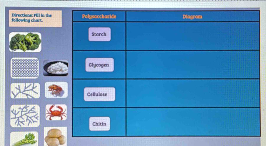 Directions: Fill in the 
following chart.