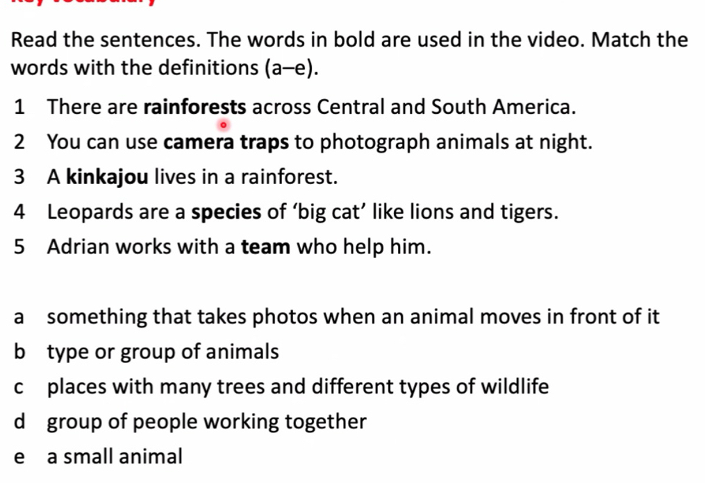 Read the sentences. The words in bold are used in the video. Match the
words with the definitions (a-e). 
1 There are rainforests across Central and South America.
2 You can use camera traps to photograph animals at night.
3 A kinkajou lives in a rainforest.
4 Leopards are a species of ‘big cat’ like lions and tigers.
5 Adrian works with a team who help him.
a something that takes photos when an animal moves in front of it
b type or group of animals
c £ places with many trees and different types of wildlife
d group of people working together
e a small animal