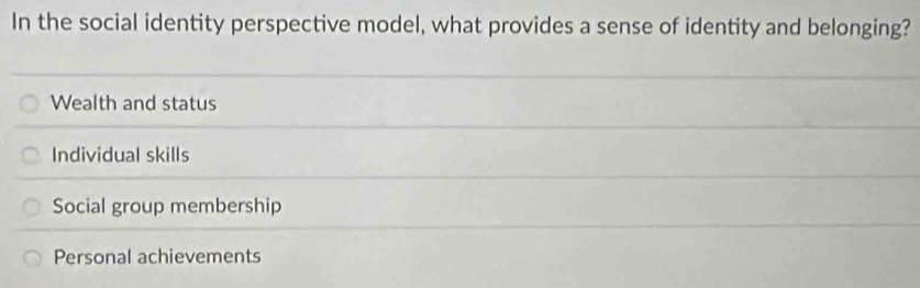 In the social identity perspective model, what provides a sense of identity and belonging?
Wealth and status
Individual skills
Social group membership
Personal achievements