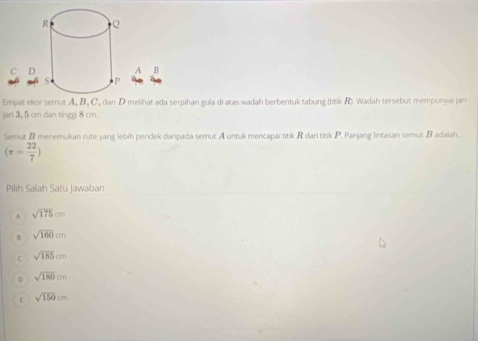 Empat ekor semut A, B, C, dan D melihat ada serpihan gula di atas wadah berbentuk tabung (titik R). Wadah tersebut mempunyai jari-
jari 3, 5 cm dan tinggi 8 cm.
Semut B menemukan rute yang lebih pendek daripada semut A untuk mencapai titik R dari titik P. Panjang lintasan semut B adalah...
(π = 22/7 )
Pilih Salah Satu Jawaban
A sqrt(175)cm
B sqrt(160)cm
C sqrt(185)cm
D sqrt(180)cm
E sqrt(150)cm