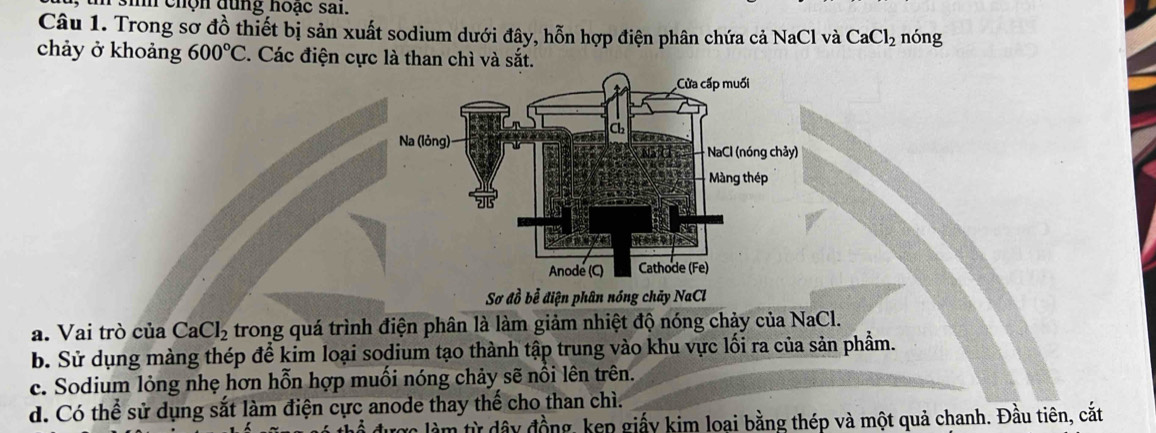 tn sinh chộn đùng hoạc sai.
Câu 1. Trong sơ đồ thiết bị sản xuất sodium dưới đây, hỗn hợp điện phân chứa cả NaCl và CaCl_2 nóng
chảy ở khoảng 600°C. Các điện cực là than chì và sắt.
Sơ đồ bễ điện phân nóng chảy NaCl
a. Vai trò của CaCl_2 trong quá trình điện phân là làm giảm nhiệt độ nóng chảy của NaCl.
b. Sử dụng màng thép để kim loại sodium tạo thành tập trung vào khu vực lối ra của sản phẩm.
c. Sodium lỏng nhẹ hơn hỗn hợp muối nóng chảy sẽ nổi lên trên.
d. Có thể sử dụng sắt làm điện cực anode thay thế cho than chì.
được làm từ dây đồng, kẹp giấy kim loại bằng thép và một quả chanh. Đầu tiên, cắt