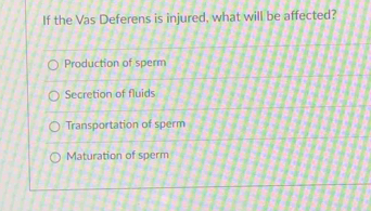 If the Vas Deferens is injured, what will be affected?
Production of sperm
Secretion of fluids
Transportation of sperm
Maturation of sperm