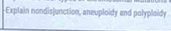 Explain nondisjunction, aneuploidy and polyploidy