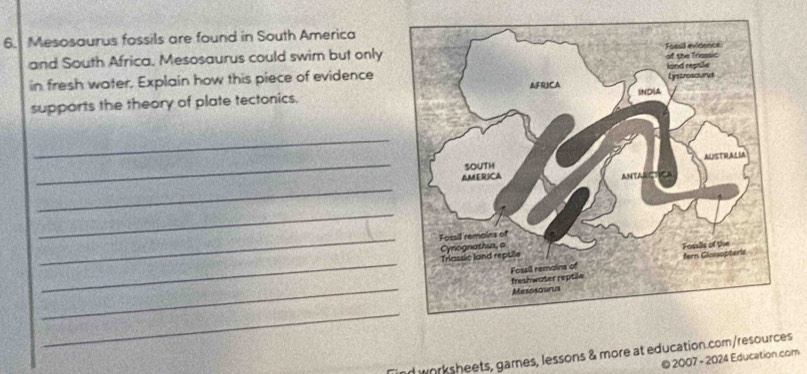 Mesosaurus fossils are found in South America 
and South Africa. Mesosaurus could swim but only 
in fresh water. Explain how this piece of evidence 
supports the theory of plate tectonics. 
_ 
_ 
_ 
_ 
_ 
_ 
_ 
_ 
d worksheets, games, lessons & more at education.com/resources 
© 2007 - 2024 Education.com