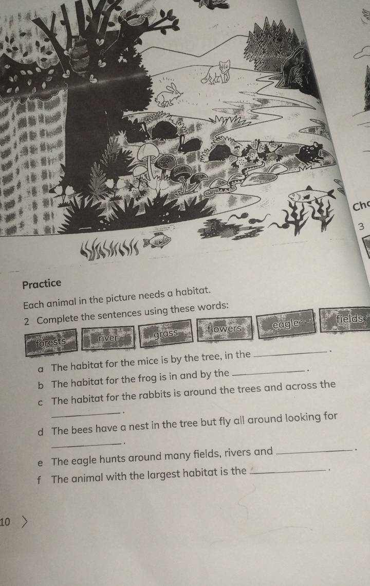 Ch 
3 
Each animal in the picture needs a habitat. 
2 Complete the sentences using these words: 
flowers 
forests river grass eagle fields 
a The habitat for the mice is by the tree, in the 
_ 
. 
b The habitat for the frog is in and by the 
. 
c The habitat for the rabbits is around the trees and across the 
_. 
d The bees have a nest in the tree but fly all around looking for 
_. 
e The eagle hunts around many fields, rivers and_ 
. 
f The animal with the largest habitat is the_ 
. 
10