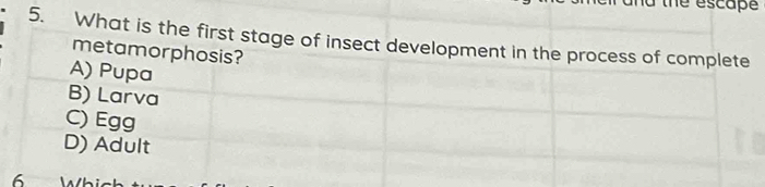 the escape
5. What is the first stage of insect development in the process of complete
metamorphosis?
A) Pupa
B) Larva
C) Egg
D) Adult
6