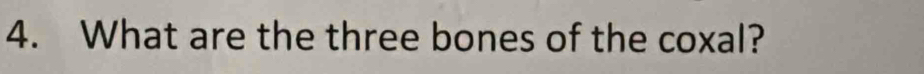 What are the three bones of the coxal?