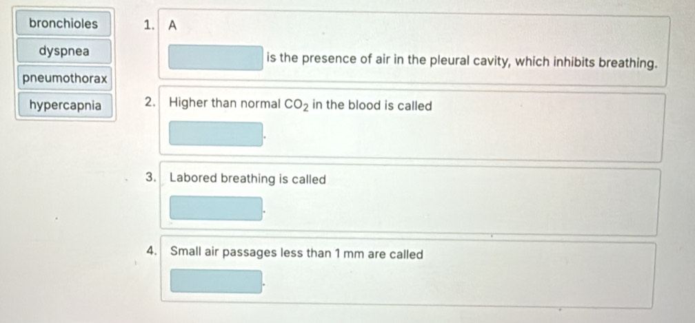 Solved: bronchioles 1. A dyspnea is the presence of air in the pleural ...