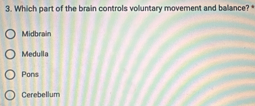 Which part of the brain controls voluntary movement and balance? *
Midbrain
Medulla
Pons
Cerebellum