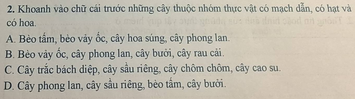 Khoanh vào chữ cái trước những cây thuộc nhóm thực vật có mạch dẫn, có hạt và
có hoa.
A. Bèo tấm, bèo vảy ốc, cây hoa súng, cây phong lan.
B. Bèo vảy ốc, cây phong lan, cây bưởi, cây rau cải.
C. Cây trắc bách diệp, cây sầu riêng, cây chôm chôm, cây cao su.
D. Cây phong lan, cây sầu riêng, bèo tầm, cây bưởi.