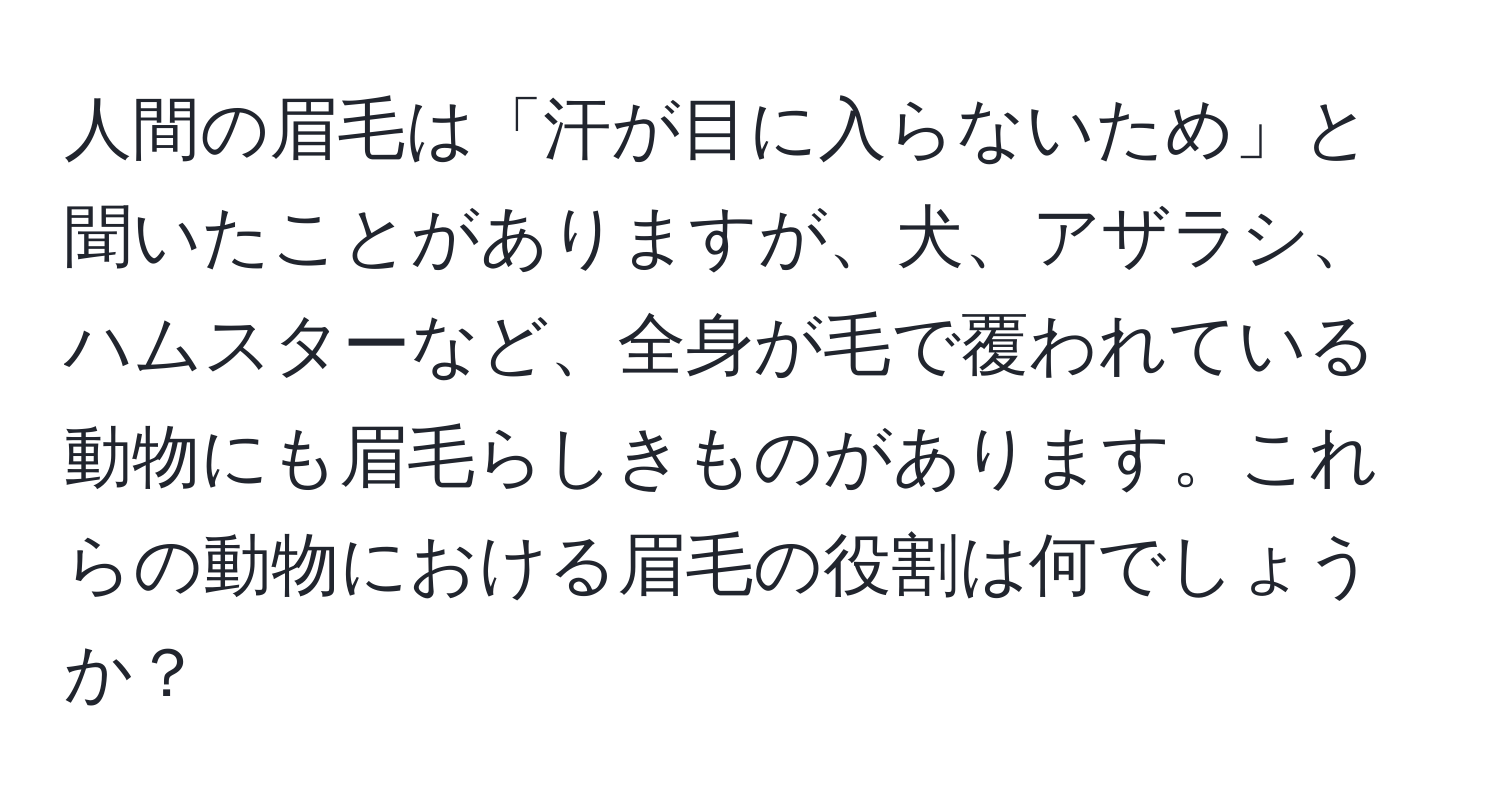 人間の眉毛は「汗が目に入らないため」と聞いたことがありますが、犬、アザラシ、ハムスターなど、全身が毛で覆われている動物にも眉毛らしきものがあります。これらの動物における眉毛の役割は何でしょうか？