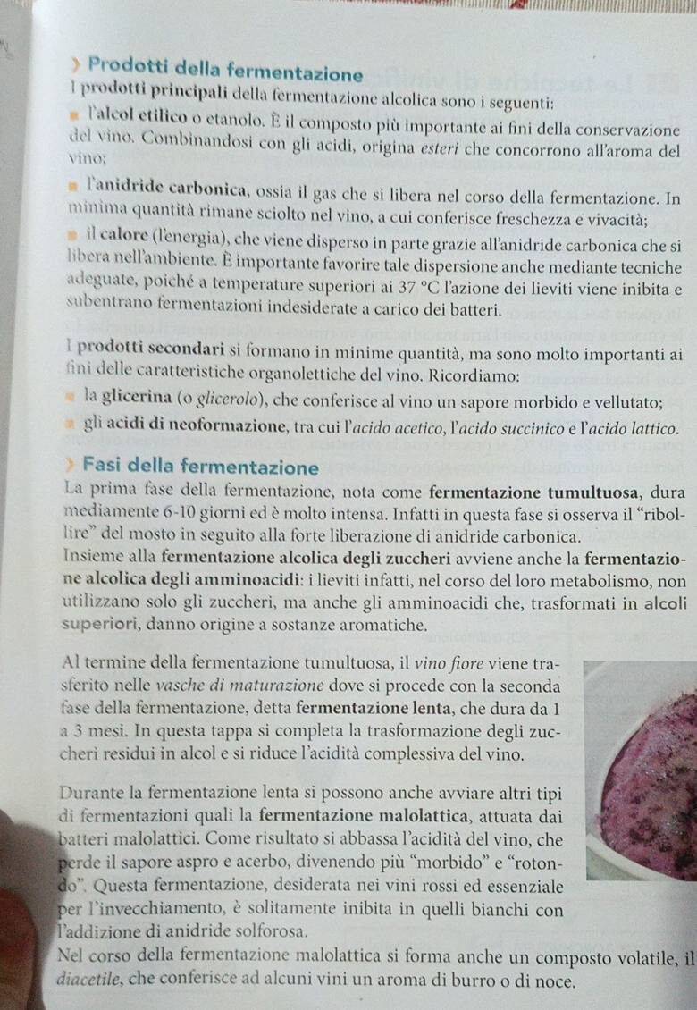 Prodotti della fermentazione
I prodotti principali della fermentazione alcolica sono i seguenti:
. Talcol etilico o etanolo. É il composto più importante ai fini della conservazione
del vino. Combinandosi con gli acidi, origina esteri che concorrono allaroma del
vino;
* Tanidride carbonica, ossia il gas che si libera nel corso della fermentazione. In
minima quantità rimane sciolto nel vino, a cui conferisce freschezza e vivacità;
il calore (lenergia), che viene disperso in parte grazie all’anidride carbonica che si
libera nell'ambiente. E importante favorire tale dispersione anche mediante tecniche
adeguate, poiché a temperature superiori ai 37°C l'azione dei lieviti viene inibita e
subentrano fermentazioni indesiderate a carico dei batteri.
I prodotti secondari si formano in minime quantità, ma sono molto importanti ai
fni delle caratteristiche organolettiche del vino. Ricordiamo:
la glicerina (o glicerolo), che conferisce al vino un sapore morbido e vellutato;
gli acidi di neoformazione, tra cui l'acido acetico, lacido succinico e lacido lattico.
Fasi della fermentazione
La prima fase della fermentazione, nota come fermentazione tumultuosa, dura
mediamente 6-10 giorni ed è molto intensa. Infatti in questa fase si osserva il “ribol-
lire” del mosto in seguito alla forte liberazione di anidride carbonica.
Insieme alla fermentazione alcolica degli zuccheri avviene anche la fermentazio-
ne alcolica degli amminoacidi: i lieviti infatti, nel corso del loro metabolismo, non
utilizzano solo gli zuccheri, ma anche gli amminoacidi che, trasformati in alcoli
superiori, danno origine a sostanze aromatiche.
Al termine della fermentazione tumultuosa, il vino fiore viene tra-
sferito nelle vasche di maturazione dove si procede con la seconda
fase della fermentazione, detta fermentazione lenta, che dura da 1
a 3 mesi. In questa tappa si completa la trasformazione degli zuc-
cheri residui in alcol e si riduce l’acidità complessiva del vino.
Durante la fermentazione lenta si possono anche avviare altri tipi
di fermentazioni quali la fermentazione malolattica, attuata dai
batteri malolattici. Come risultato si abbassa l’acidità del vino, che
perde il sapore aspro e acerbo, divenendo più “morbido” e “roton-
do''. Questa fermentazione, desiderata nei vini rossi ed essenziale
per l'invecchiamento, è solitamente inibita in quelli bianchi con
laddizione di anidride solforosa.
Nel corso della fermentazione malolattica si forma anche un composto volatile, il
diacetile, che conferisce ad alcuni vini un aroma di burro o di noce.