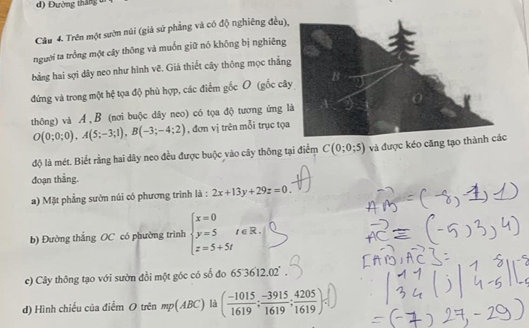 Đường tháng ti 
Câu 4. Trên một sườn núi (giả sử phẳng và có độ nghiêng đều), 
người ta trồng một cây thông và muốn giữ nó không bị nghiêng 
bằng hai sợi dây neo như hình vẽ. Giả thiết cây thông mọc thẳn 
đứng và trong một hệ tọa độ phù hợp, các điểm gốc O (gốc câ 
thông) và A , B (nơi buộc dây neo) có tọa độ tương ứng
O(0;0;0), A(5;-3;1), B(-3;-4;2) , đơn vị trên mỗi trục tọa 
độ là mét. Biết rằng hai dây neo đều được buộc vào cây thông tại điểm C(0;0;5) và được kéo căng tạo t 
đoạn thẳng. 
a) Mặt phẳng sườn núi có phương trình là : 2x+13y+29z=0. 
b) Đường thắng OC có phường trình beginarrayl x=0 y=5t∈ R. z=5+5tendarray.
c) Cây thông tạo với sườn đồi một góc có số đo 65 36'12.02'
d) Hình chiếu của điểm O trên mp(ABC) là ( (-1015)/1619 ; (-3915)/1619 ; 4205/1619 ).