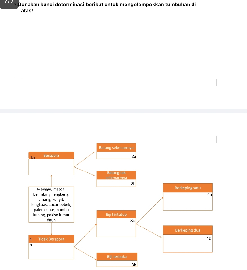Gunakan kunci determinasi berikut untuk mengelompokkan tumbuhan di 
atas!
3b
