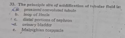 The principle site of acidification of tubular fluid is:
a proximal convoluted tubule
b. loop of Henle
c. distal portions of nephron
d. urinary bladder
e. Malpighian corpuscle