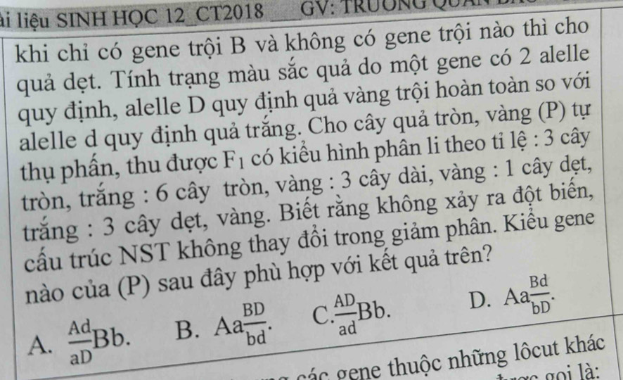 li liệu SINH HQC 12_CT2018 _GV: TRÜÔNG QUA
khi chỉ có gene trội B và không có gene trội nào thì cho
quả dẹt. Tính trạng màu sắc quả do một gene có 2 alelle
quy định, alelle D quy định quả vàng trội hoàn toàn so với
alelle d quy định quả trắng. Cho cây quả tròn, vàng (P) tự
thụ phần, thu được F_1 có kiểu hình phân li theo tỉ lệ : 3 cây
tròn, trăng : 6 cây tròn, vàng : 3 cây dài, vàng : 1 cây dẹt,
trăng : 3 cây dẹt, vàng. Biết rằng không xảy ra đột biển,
cấu trúc NST không thay đồi trong giảm phân. Kiểu gene
nào của (P) sau đây phù hợp với kết quả trên?
A.  Ad/aD Bb. B. Aa BD/bd . C.  AD/ad Bb. D. Aa Bd/bD . 
các gene thuộc những lộcut khác