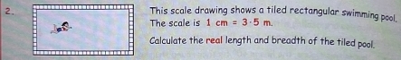 This scale drawing shows a tiled rectangular swimming pool. 
The scale is 1cm=3· 5m. 
Calculate the real length and breadth of the tiled pool.