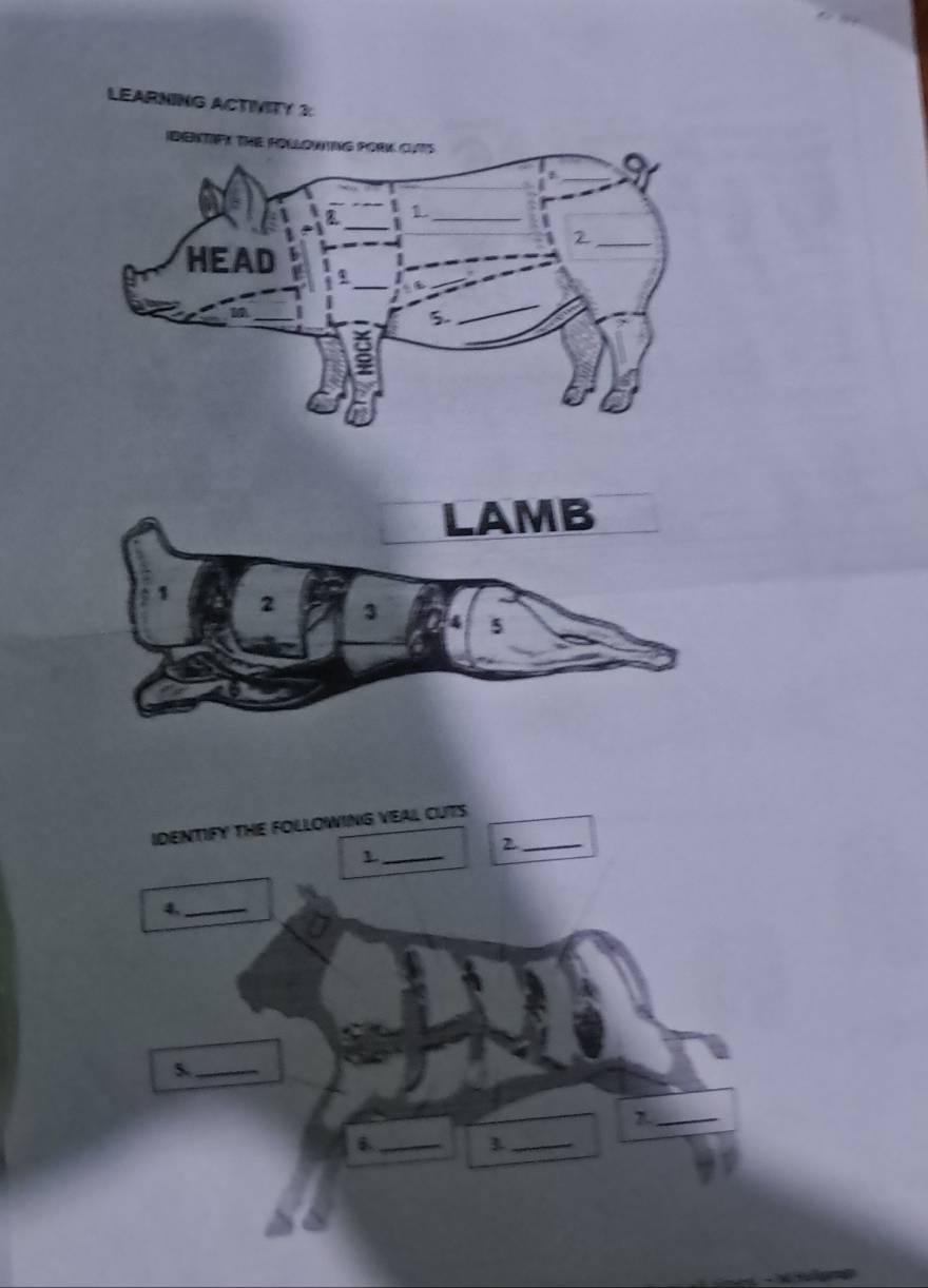 LEARNING ACTIVITY 3 
IDENTIFY THE FOLLOWING VEAL CUTS_ 
2 
_L 
4._ 
5,_ 
_2 
6._ 
_3