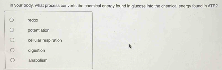 In your body, what process converts the chemical energy found in glucose into the chemical energy found in ATP?
redox
potentiation
cellular respiration
digestion
anabolism