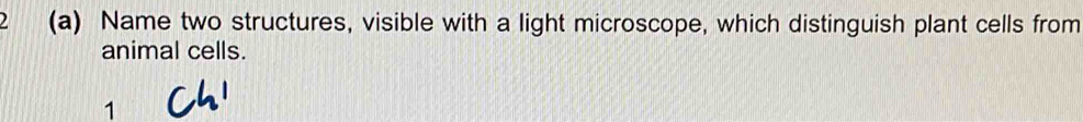 Name two structures, visible with a light microscope, which distinguish plant cells from 
animal cells. 
1