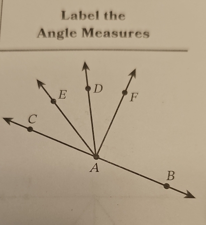 Label the 
Angle Measures