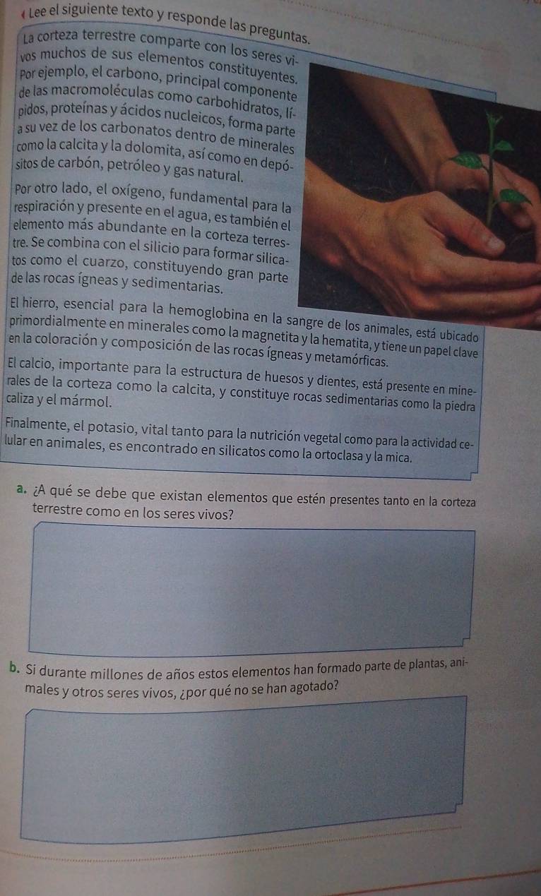 Lee el siguiente texto y responde las preguntas. 
La corteza terrestre comparte con los seres v 
vos muchos de sus elementos constituyentes 
Por ejemplo, el carbono, principal component 
de las macromoléculas como carbohidratos, l 
pidos, proteínas y ácidos nucleicos, forma part 
à su vez de los carbonatos dentro de minerale 
como la calcita y la dolomita, así como en depó 
sitos de carbón, petróleo y gas natural. 
Por otro lado, el oxígeno, fundamental para la 
respiración y presente en el agua, es también el 
elemento más abundante en la corteza terres- 
tre. Se combina con el silicio para formar silica- 
tos como el cuarzo, constituyendo gran parte 
de las rocas ígneas y sedimentarias. 
El hierro, esencial para la hemoglobina en la stá ubicado 
primordialmente en minerales como la magnetita y la hematita, y tiene un papel clave 
en la coloración y composición de las rocas ígneas y metamórficas. 
El calcio, importante para la estructura de huesos y dientes, está presente en mine- 
rales de la corteza como la calcita, y constituye rocas sedimentarias como la piedra 
caliza y el mármol. 
Finalmente, el potasio, vital tanto para la nutrición vegetal como para la actividad ce- 
lular en animales, es encontrado en silicatos como la ortoclasa y la mica. 
a. ¿A qué se debe que existan elementos que estén presentes tanto en la corteza 
terrestre como en los seres vivos? 
b. Si durante millones de años estos elementos han formado parte de plantas, ani- 
males y otros seres vivos, ¿por qué no se han agotado?