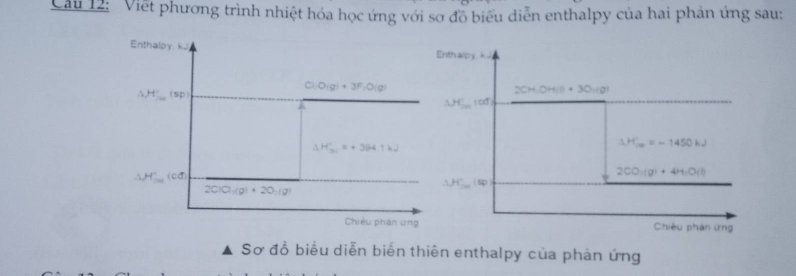 Cau 12: Viết phương trình nhiệt hóa học ứng với sơ đồ biểu diễn enthalpy của hai phản ứng sau: 
Enthalpy. kJ
Enthalpy kJ
Cl_2O(g)+3F_2O(g)
△ H°(sp)
2CH:0 H(l)+30_2(g
△ H_(2016)°(od)
△ H_(31)^+=+394.1kJ
△ H_(2x)°=-1450kJ
△ H_(50)°(cd)
2CO_3(g)+4H_2O(l)
△ H'H'..(sp
2ClCl_3(g)+2O_2(g)
Chiều phản ứng Chiêu phản ứng 
Sơ đồ biểu diễn biến thiên enthalpy của phản ứng