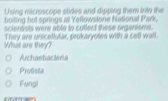 Using microscope slides and dipping them into the
boiling hot springs at Yellowsione National Park,
scientists were able to collect these organisms.
They are unicellular, prokaryoles with a cell wall.
What are they?
Archaebacteria
Prolisla
Fungi